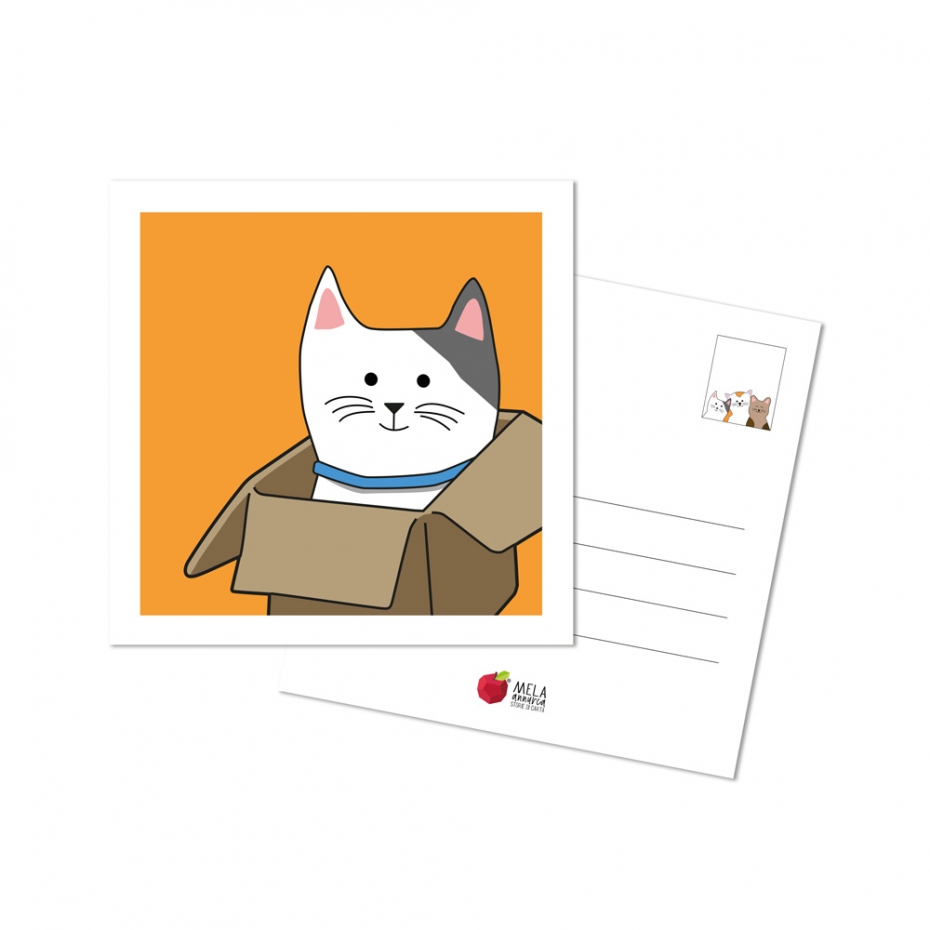 Cartolina - Gatto in scatola