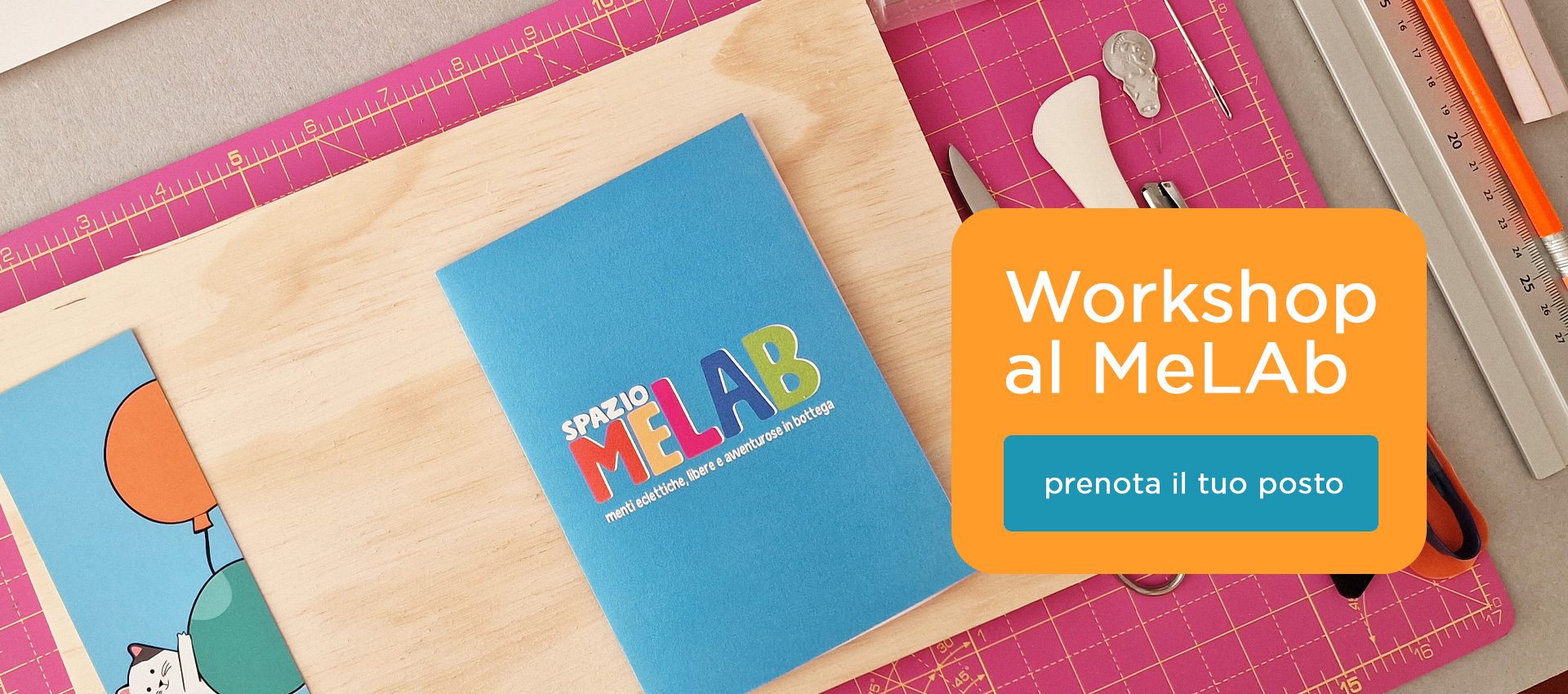 Workshop MeLab